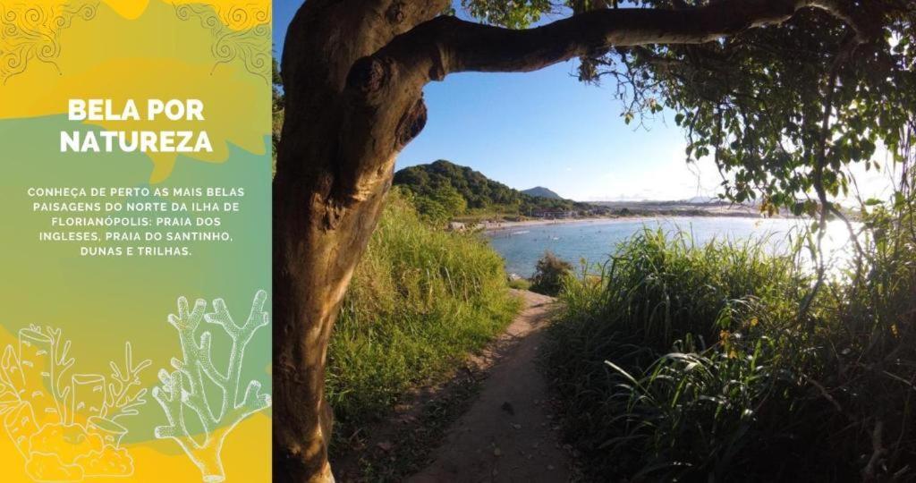Imobilha - Casa De Praia C/ Piscina Ingleses - Santinho Florianópolis 外观 照片